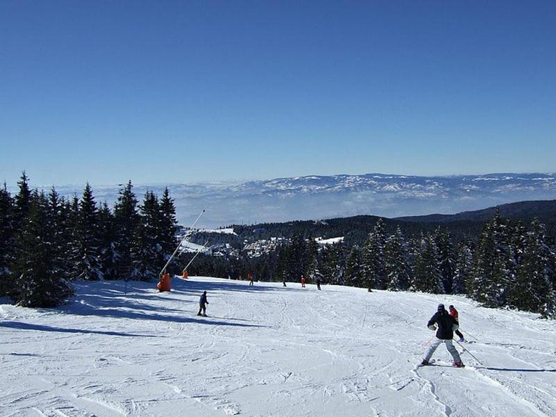 L&N Apartmani Kopaonik-Milmari Resort Eksteriør billede