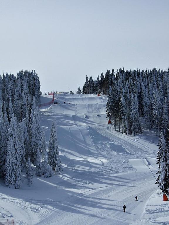 L&N Apartmani Kopaonik-Milmari Resort Eksteriør billede